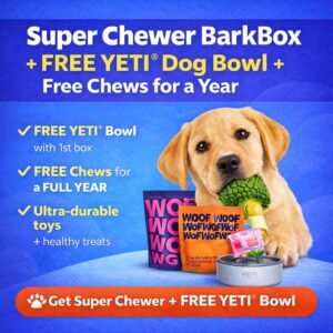 Super Chewer BarkBox subscription with free YETI dog bowl and tough chew toys