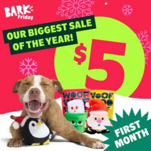 Happy dog with BarkBox holiday toys and treats promoting the BarkBox Black Friday deal offering the first month for only $5.