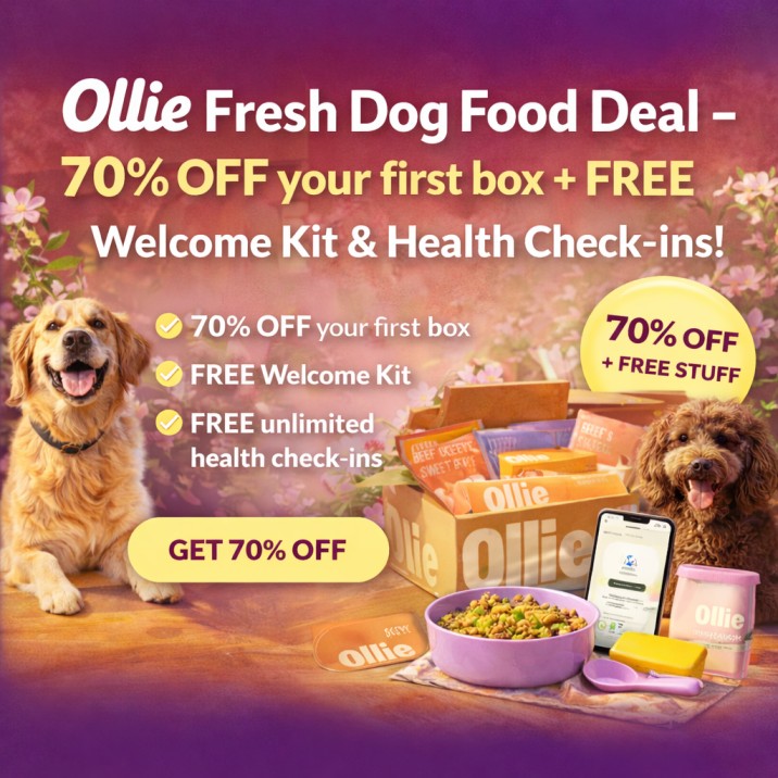 Ollie Fresh Dog Food Deal banner with 70% off first box plus free welcome kit and health check-ins
