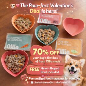 Ollie Valentine’s promotion showing fresh dog food subscription with 70% off first box and a free heart-shaped bowl for dogs.